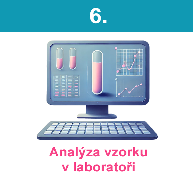 Komplexní analýza střevního mikrobiomu